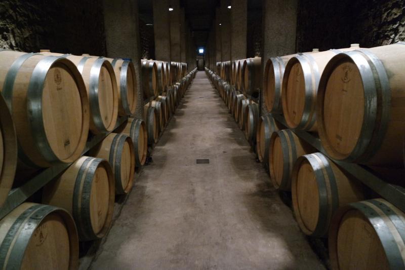 full-day-wine-tasting-from-mendoza-6