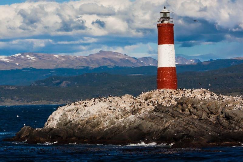 boat-trip-to-penguin-colony-from-ushuaia-2