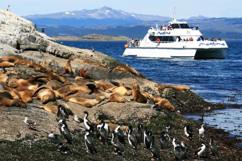 boat-trip-to-penguin-colony-from-ushuaia-3