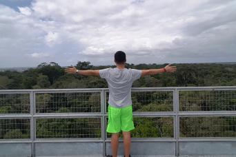 Amazon Natural Museums Combo (INPA and MUSA)