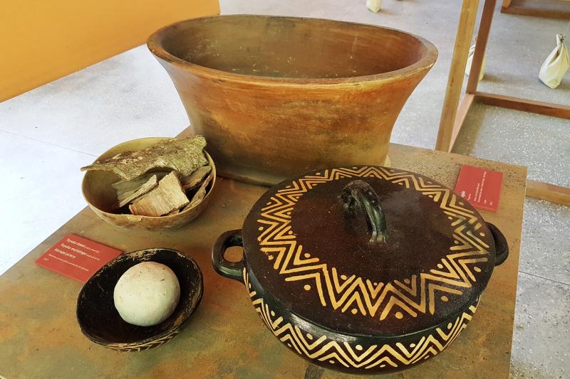 amazon-natural-museums-combo-inpa-and-musa-2