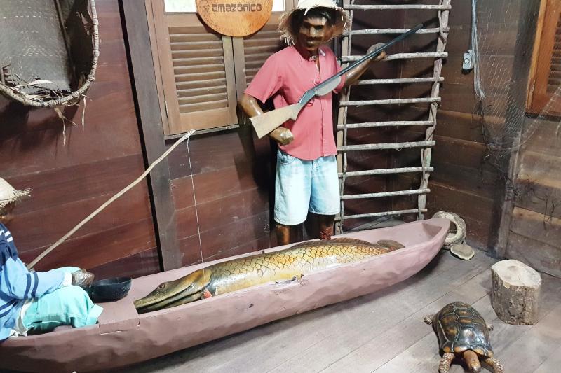 amazon-natural-museums-combo-inpa-and-musa-4