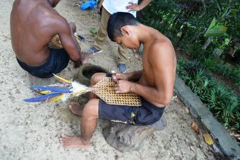 Tucandeira Ants Ritual in the Amazon