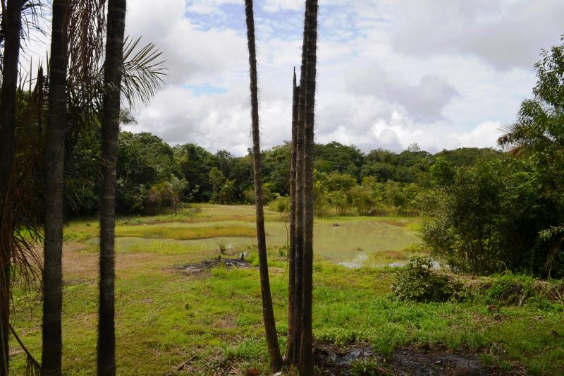 1-night-package-in-amazon-jungle-with-aircon-8