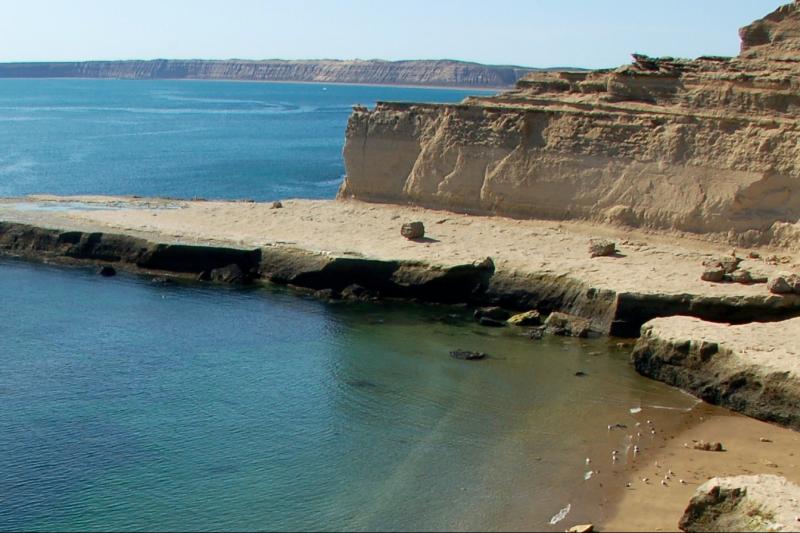 peninsula-valdes-day-trip-5