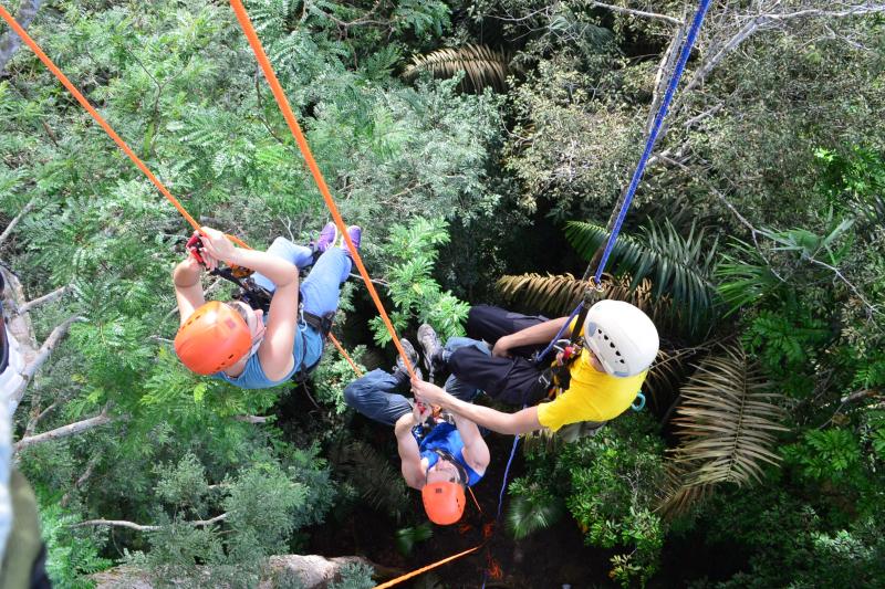 tree-climbing-in-amazon-2