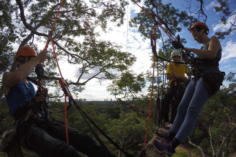 tree-climbing-in-amazon-4