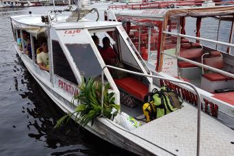 Rubber Museum In The Amazon