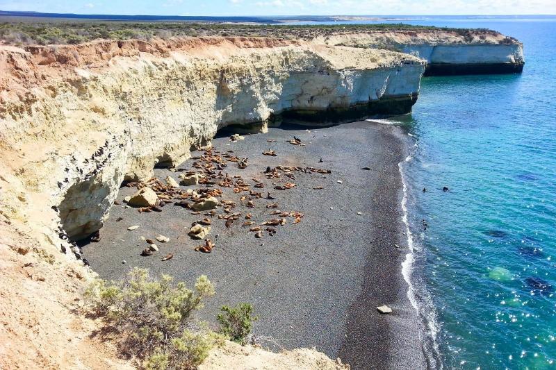 puerto-madryn-city-tour-and-sea-lions-5