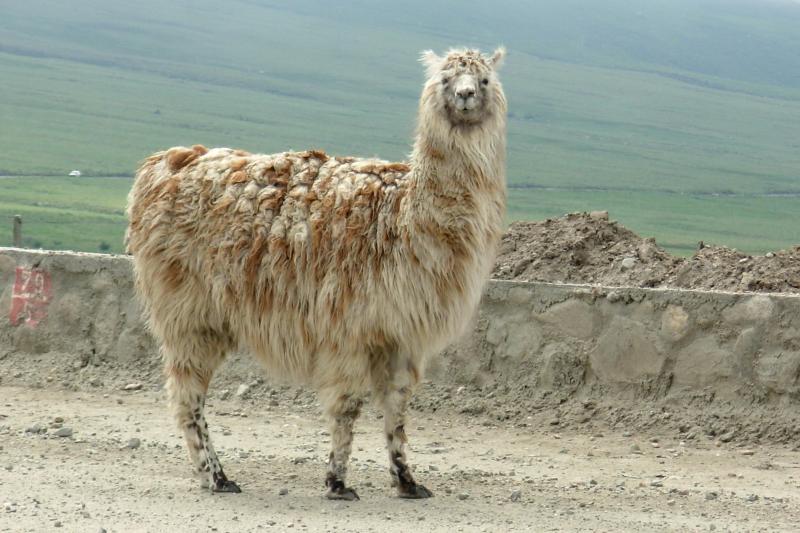 tafi-del-valle-and-quilmes-ruins-full-day-tour-fro-2