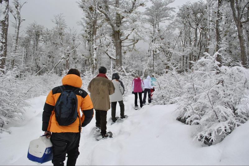 snow-adventure-night-tour-3