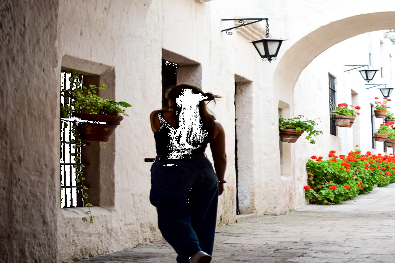 arequipa-walking-tour-and-santa-catalina-monastery-5