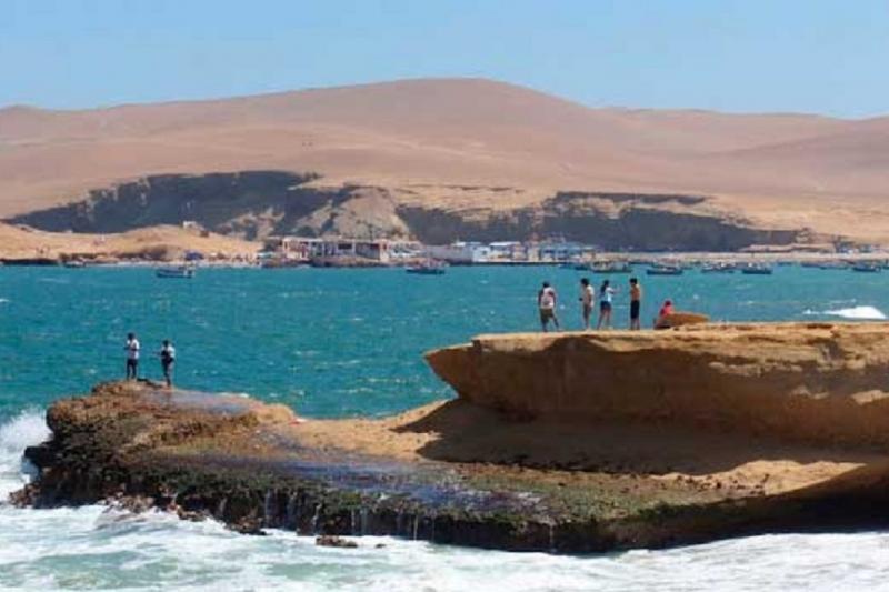 paracas-national-reserve-half-day-tour-1