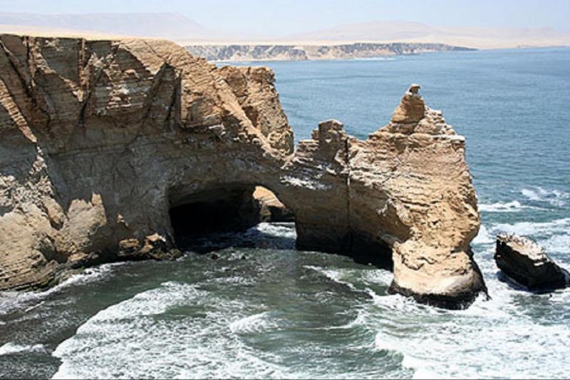paracas-national-reserve-half-day-tour-3