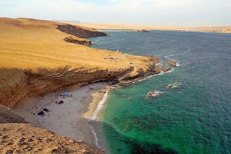 paracas-national-reserve-half-day-tour-4