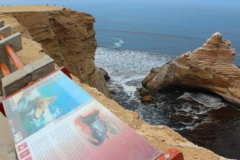 paracas-national-reserve-half-day-tour-6