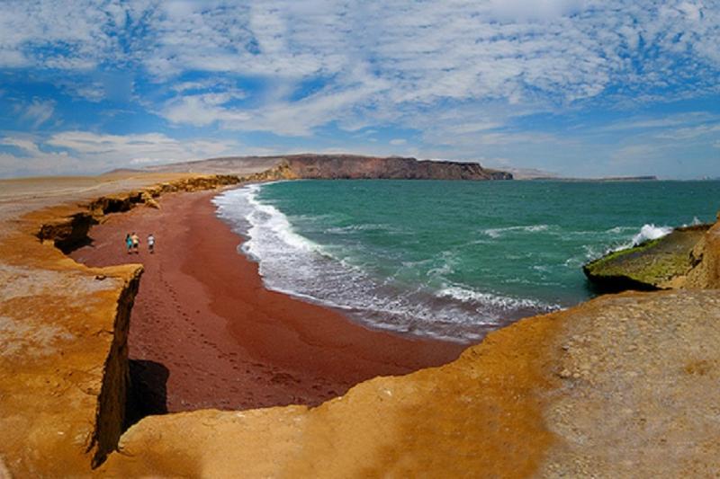paracas-national-reserve-half-day-tour-7