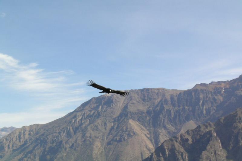 full-day-colca-canyon-tour-3