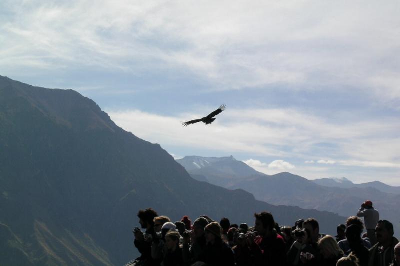 full-day-colca-canyon-tour-4