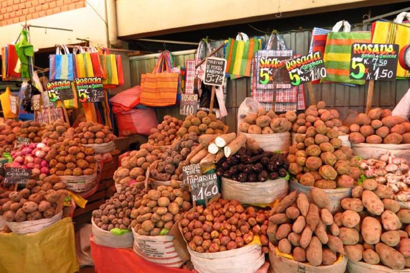 san-camilo-market-tour-2