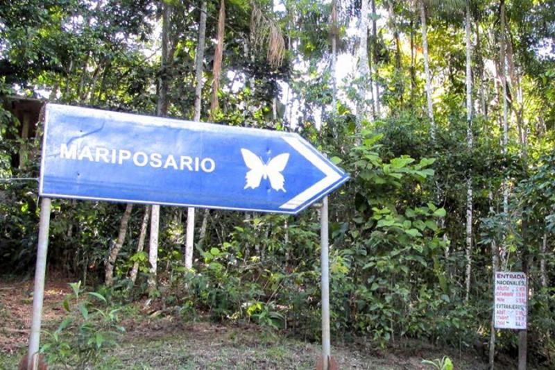 butterfly-farm-native-tribes-and-wildlife-rescue-1