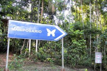 Butterfly Farm, Native Tribes and Wildlife Rescue