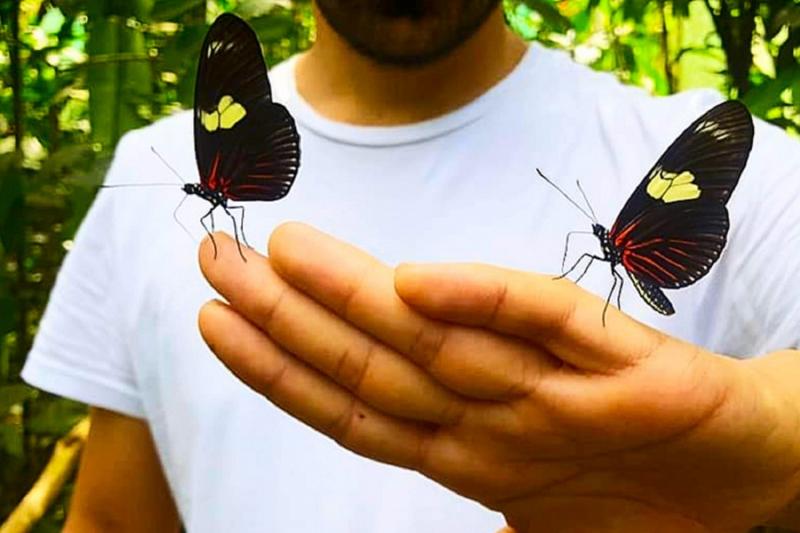 butterfly-farm-native-tribes-and-wildlife-rescue-3