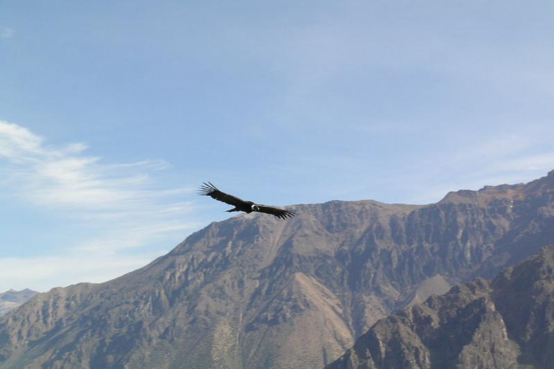 2-day-colca-canyon-classic-tour-chivay-3