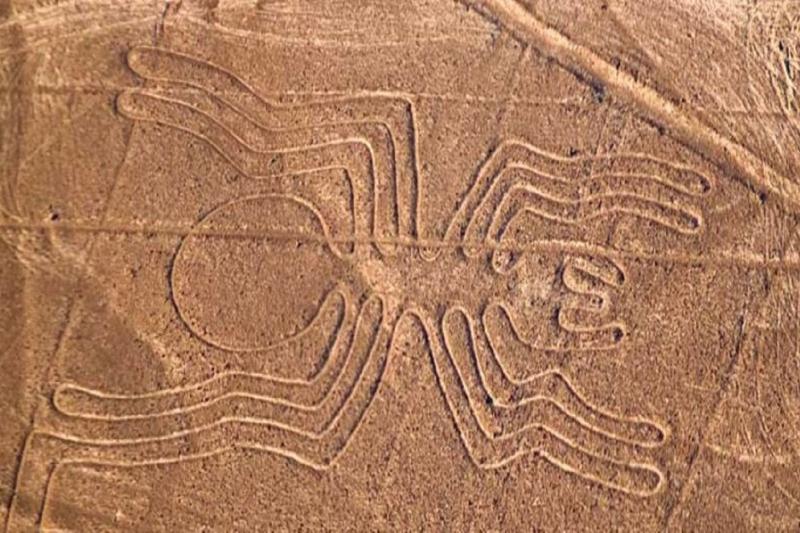 2-day-nazca-lines-and-ballestas-islands-from-lima-2
