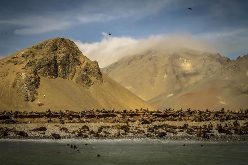 2-day-nazca-lines-and-ballestas-islands-from-lima-4