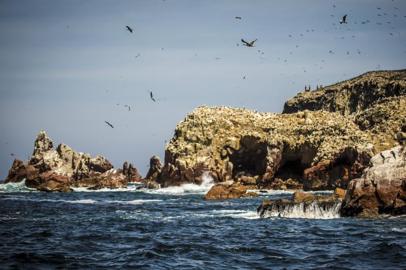2-day-nazca-lines-and-ballestas-islands-from-lima-8