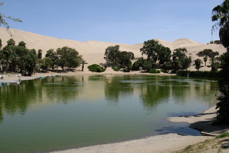 dune-buggy-and-sandboard-in-huacachina-ica-2