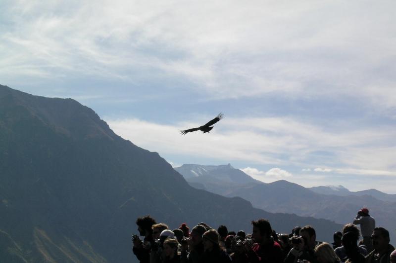 2-day-colca-canyon-trek-private-room-2