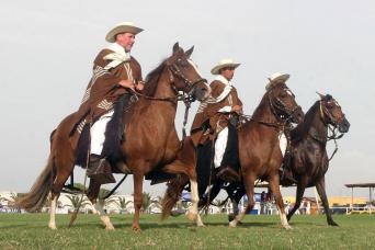 Peruvian Paso Horse & Marinera w/lunch & transfers