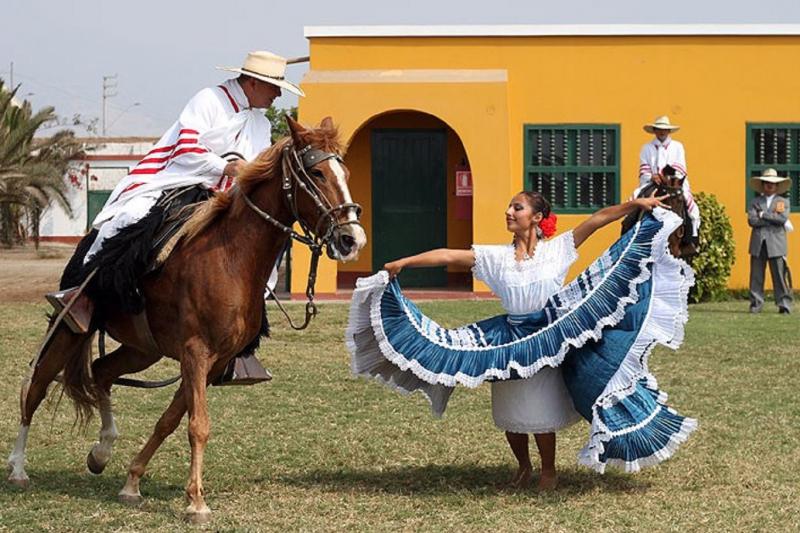 peruvian-paso-horse-marinera-wlunch-transfers-5