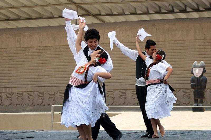 peruvian-paso-horse-marinera-wlunch-transfers-6