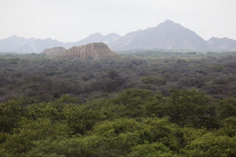 pomac-forest-historic-sanctuary-sican-museum-1