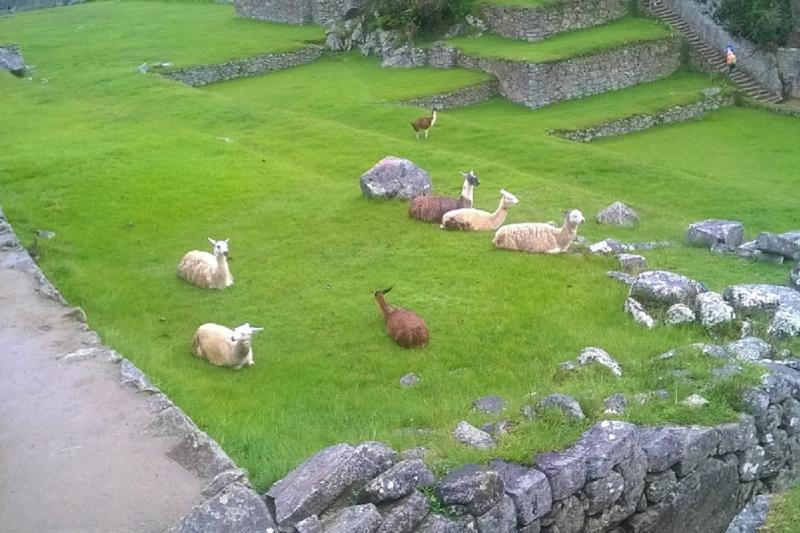 2-day-inca-trail-to-machu-picchu-2