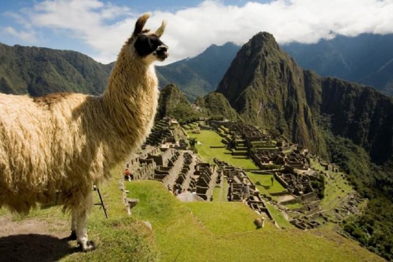 machu-picchu-luxury-tour-train-hiram-bingham-6