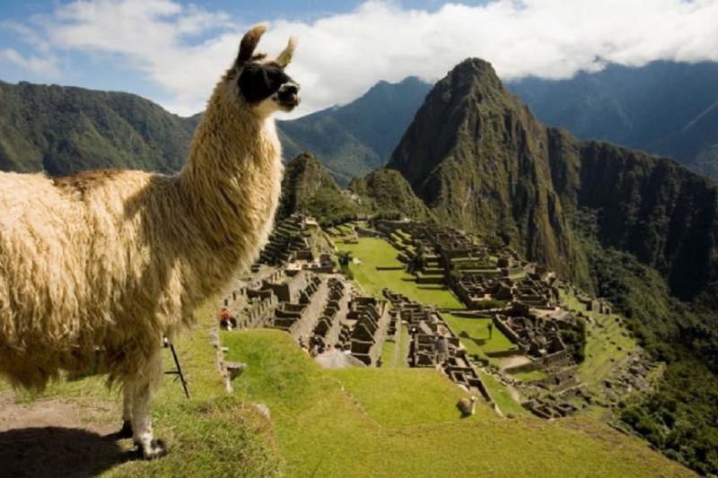 tour-to-machu-picchu-from-poroy-train-vistadome-5