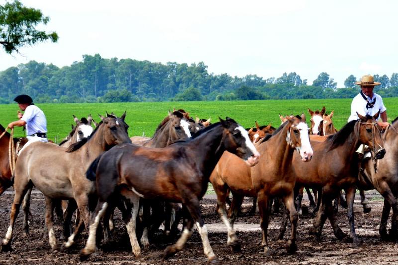 santa-susana-ranch-from-buenos-aires-4