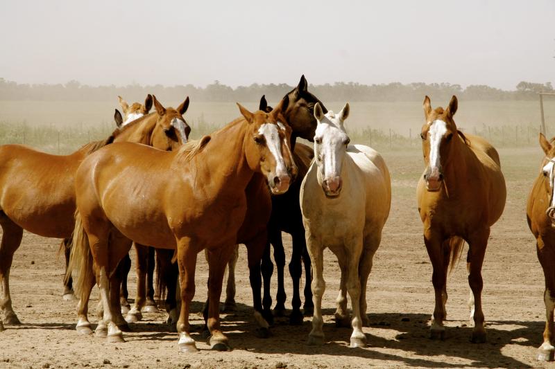 santa-susana-ranch-from-buenos-aires-6