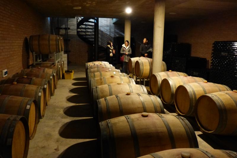 wine-road-in-calamuchita-valley-2