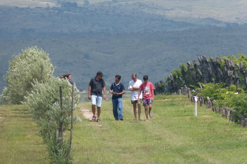 wine-road-in-calamuchita-valley-4