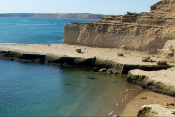 Shore Excursion: Peninsula Valdes Day Trip