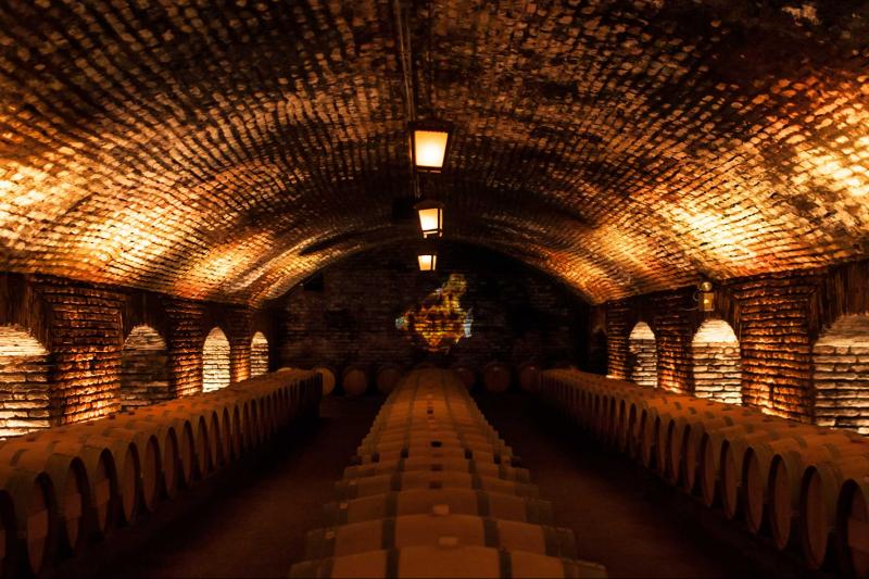 7-day-trip-santiago-and-easter-island-3