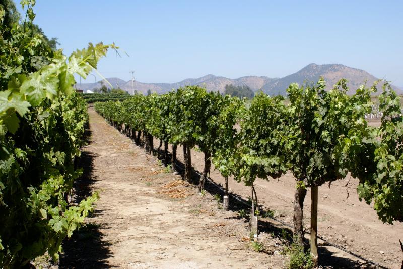 7-day-trip-santiago-and-easter-island-4