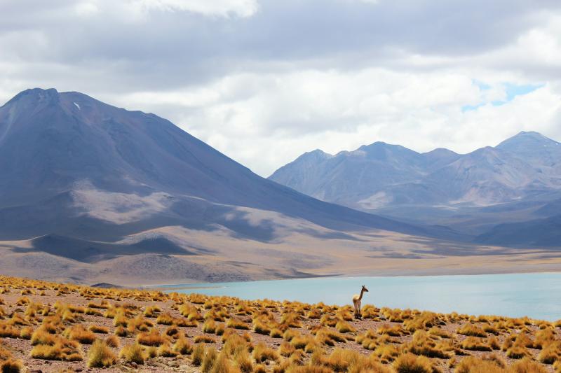 9-day-trip-santiago-and-san-pedro-de-atacama-7