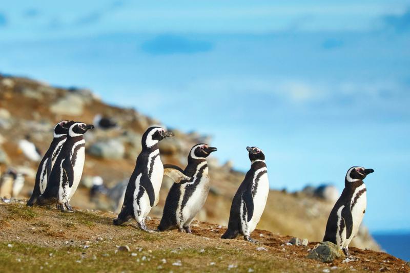 13-day-trip-chile-from-north-to-south-5