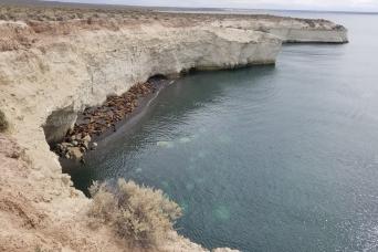 Private Shore Excursion: Puerto Madryn City Tour